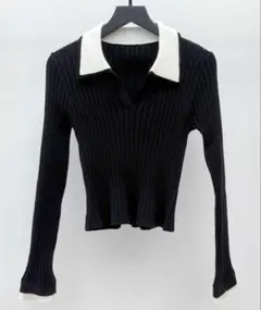 SAISON DE PAPILLON／レイヤード 風襟付き配色ニットトップス