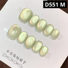 現品ネイルチップ　ベリーショート　ワンカラーマグネットうるツヤちゅるんオフィス春