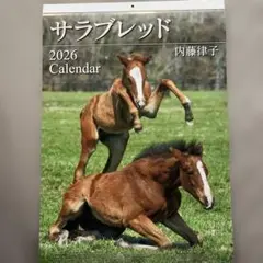 超レア オグリキャップ 1991年カレンダー - メルカリ