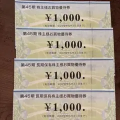 ビックカメラ 株主優待券 4枚