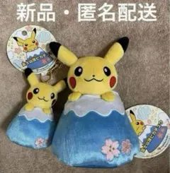 2025年最新】御殿場 ピカチュウの人気アイテム - メルカリ