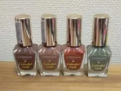 キャンメイクカラフルネイルズ CANMAKE TOKYO くすみカラーネイル4本