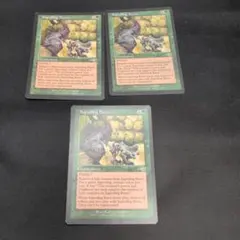 MTG Saproling Burst 英語版 3枚セット