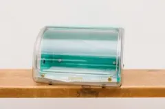 Item thumbnail for item 5d836165-09b9-4dbb-9002-9a16018d369f