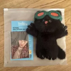 BOYNEXTDOOR テサン ハンテップン ぬいぐるみ キーリング 　公式