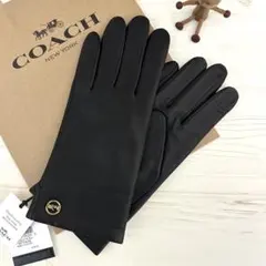 Item thumbnail for item b4df4b09-b139-4b5d-8279-0ad54c3a69a0