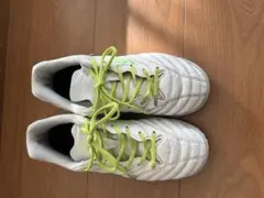 Mizuno MONARCIDA nEOホワイト/グリーン