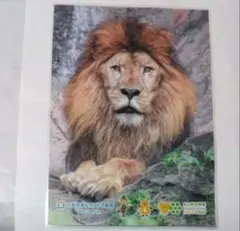 Item thumbnail for item af9e737d-238e-4675-bc34-01575ec03561