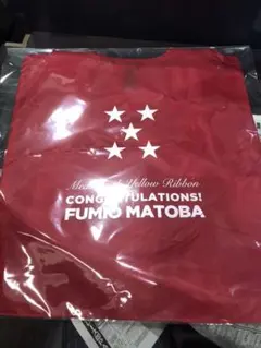 Item thumbnail for item f3384f61-23bc-47c4-a57f-a183d0c6f417