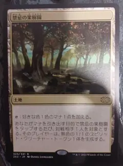 MTG 禁忌の果樹園 FtV版foil - メルカリ