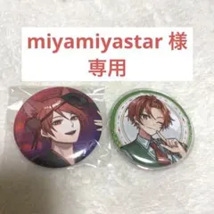 【miyamiyastar 様専用】缶バッジ