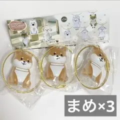 わんこのタイムカプセル まめ 3個 ガチャ カプセルトイ