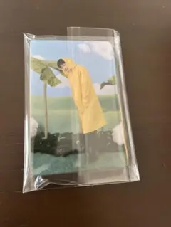 heaven carat盤　トレカセット　SEVENTEENウォヌ