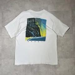 【crazy shirts】90s USA製　カウアイ島　ナパリコースト　ハワイのサムネイル