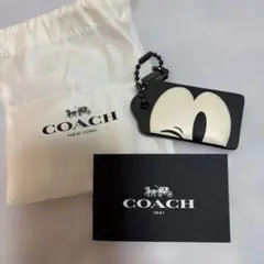 2026年最新】coach キーホルダー ミッキーの人気アイテム - メルカリ
