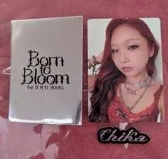 HANA Born to Bloom ランダムフォトカード チカ CHIKA