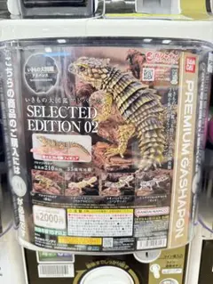 【アルマジロトカゲ】いきもの大図鑑アドバンスSELECTEDEDITION02のサムネイル