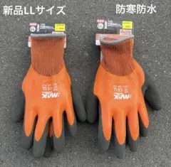 Item thumbnail for item 024f9007-cbca-49cb-b4b0-75e28645827b