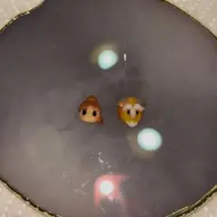 美女と野獣　3Dネイルパーツ