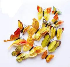 こうちゃん様 リクエスト 2点 まとめ商品