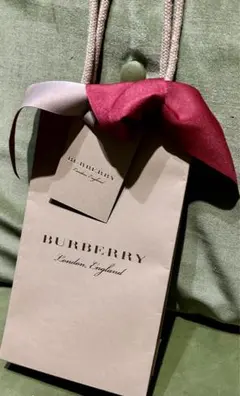 Item thumbnail for item 91c42452-a364-4c35-bc06-91c3704aa4e7