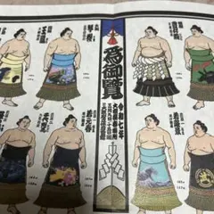 Item thumbnail for item 27a242f8-27c0-4146-b15c-6c1c887d969e