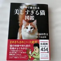 世界中で愛される美しすぎる猫図鑑 ビジュアルだいわ文庫