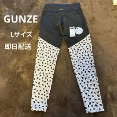 GUNZE Tuche YOGA-LEGGINGS Lサイズのサムネイル