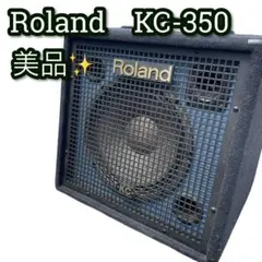 Roland ローランド REVO-30 ロータリー アンプ・シミュレータ - メルカリ