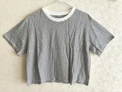 未使用　半袖　ストライプ　Tシャツ　ユニクロ　UNIQLO