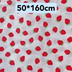 Item thumbnail for item 70c4002f-5e25-403b-b05e-4ebe76be1dcb