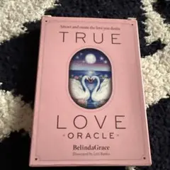 Item thumbnail for item 9c35b212-78eb-4f61-8efc-9a15b8076146