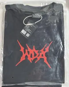 IMP. ARIAKE ARENA 2024 DEPARTURE Tシャツ - メルカリ