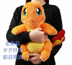 ポケモンセンター　ヒトカゲ　20 インチ　ぬいぐるみ　等身大　タグ付き ヒトカゲ ぬいぐるみ 中国ポケモンセンター限定 未開封 - メルカリ