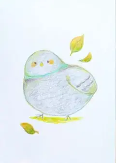 鳩 手描きイラスト 原画 一点物 色鉛筆 ポストカードサイズ