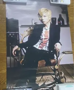 acidblackcherry ポスター イエス