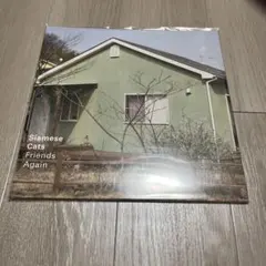 シャムキャッツ / 渚 7インチレコード / 美品 / 廃盤 1000 - メルカリ