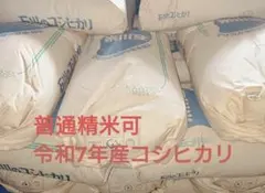 令和7年 石川県産コシヒカリ 玄米 30kg - メルカリ