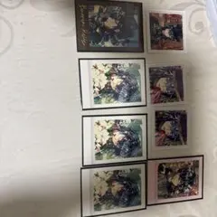 あくねこ バスティン・ケリー ぱしゃこれ 思い出コレクション