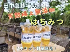 【最高受賞歴あり】 群馬県藤岡市産 アカシア蜂蜜 480g3個セット 数量限定！ 最高受賞歴あり】 群馬県藤岡市産 アカシア蜂蜜 480g3個セット 数量