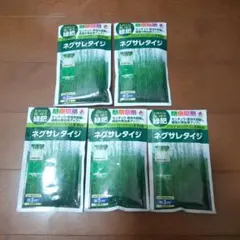 ネグサレタイジ えん麦 種子60ml5袋タキイ種苗 匿名配送 迅速発送 緑肥