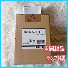 ODELICオーデリック 255TB, 295AB LED電球 E26 6個 - メルカリ