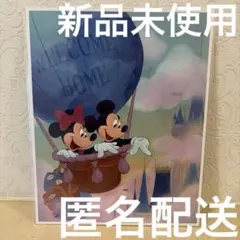 ミッキー・ミニー 気球　バルーンアート　アウラニ　DVC 非売品　DISNEYのサムネイル