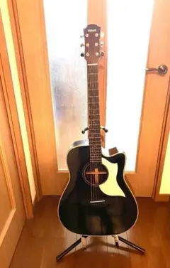 2026年最新】オール単板 エレアコの人気アイテム - メルカリ