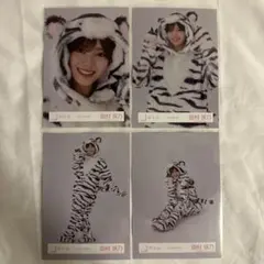 櫻坂46 田村保乃 どうぶつ着ぐるみ