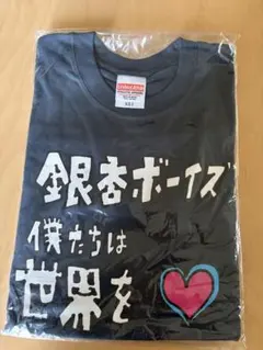 銀杏BOYZ Tシャツ 僕たちは世界を変えることができない　ライブTシャツ