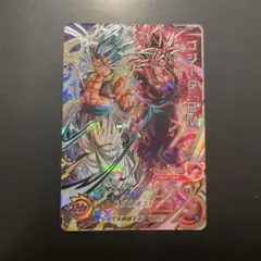 BM12-LSEC ゴジータ:BM