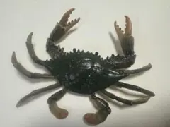ガザミ　フィギュア