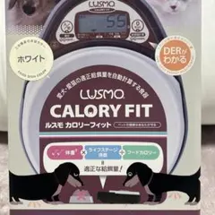 Item thumbnail for item 09a9301c-7748-4b92-b6cb-8d7dcc31f3d8