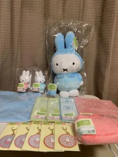 N*N様 ミッフィー　タイトーくじ